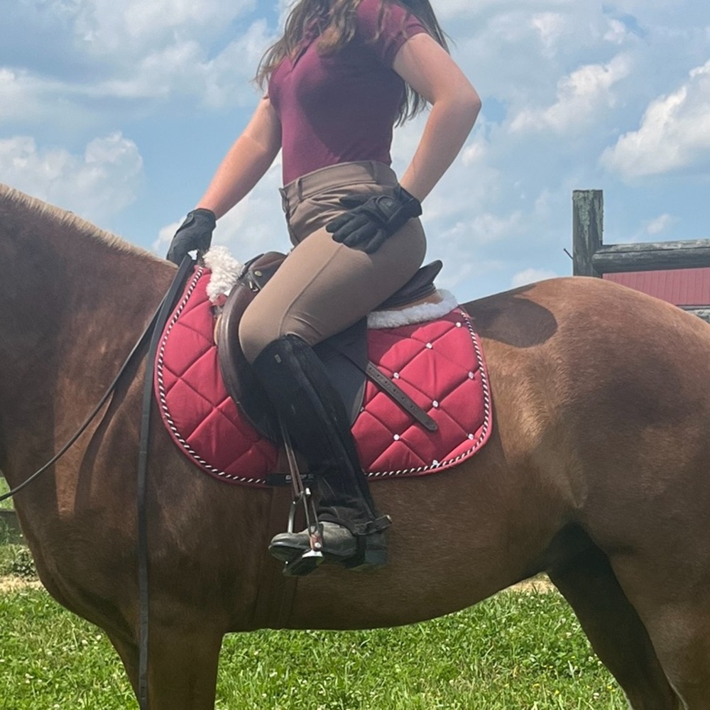 Dover Saddlery Breeches